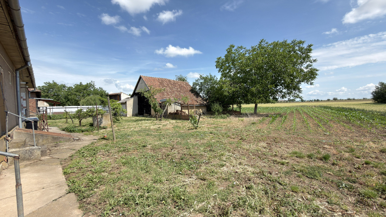 Casă 4 camere, Teren 1955 mp Str. Vezendiului Nr. 366 - Loc. Petrești, Satu Mare