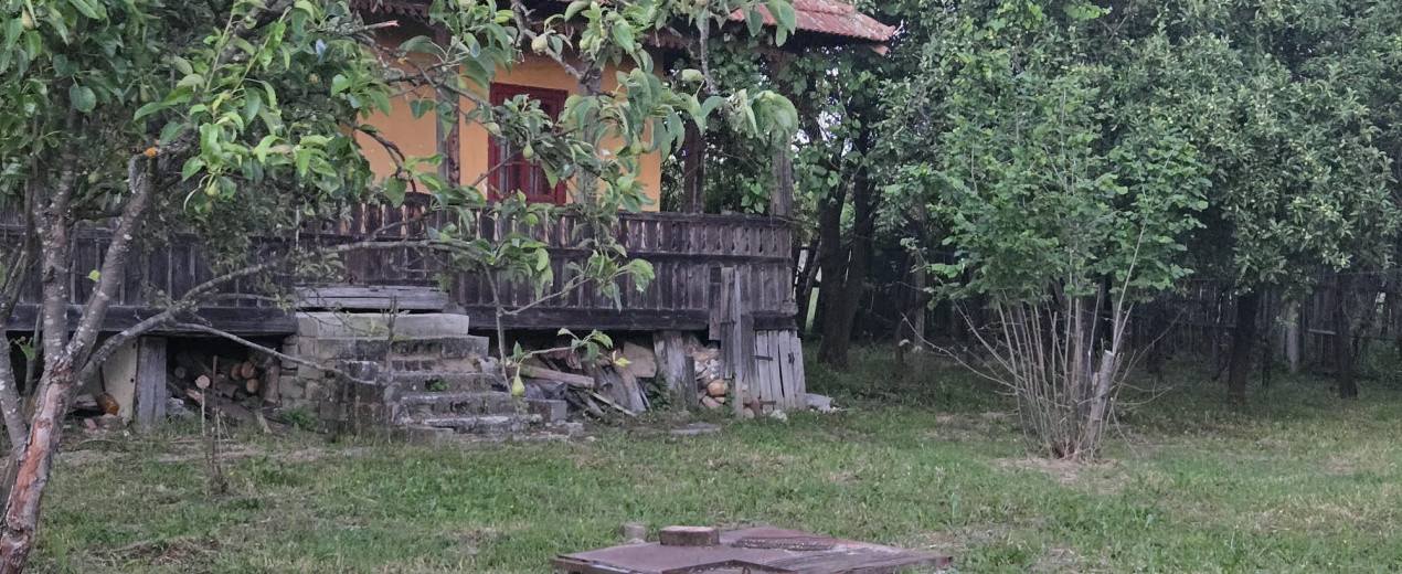 Casă cu 7.769 mp teren și pădure | Budieni | 53.000€