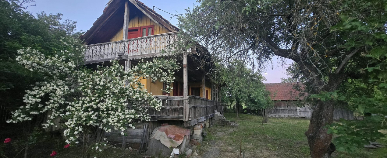 Casă cu 7.769 mp teren și pădure | Budieni | 53.000€