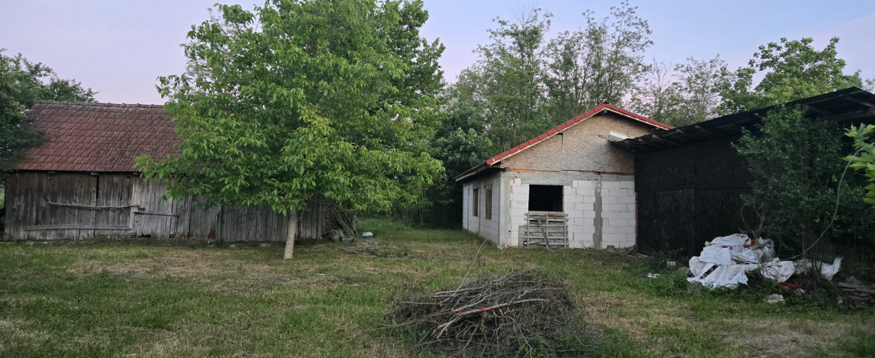 Casă cu 7.769 mp teren și pădure | Budieni | 53.000€