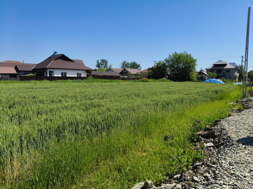 Teren 10.294 mp de vânzare Târgu Jiu | Intravilan + Extravilan | Utilități