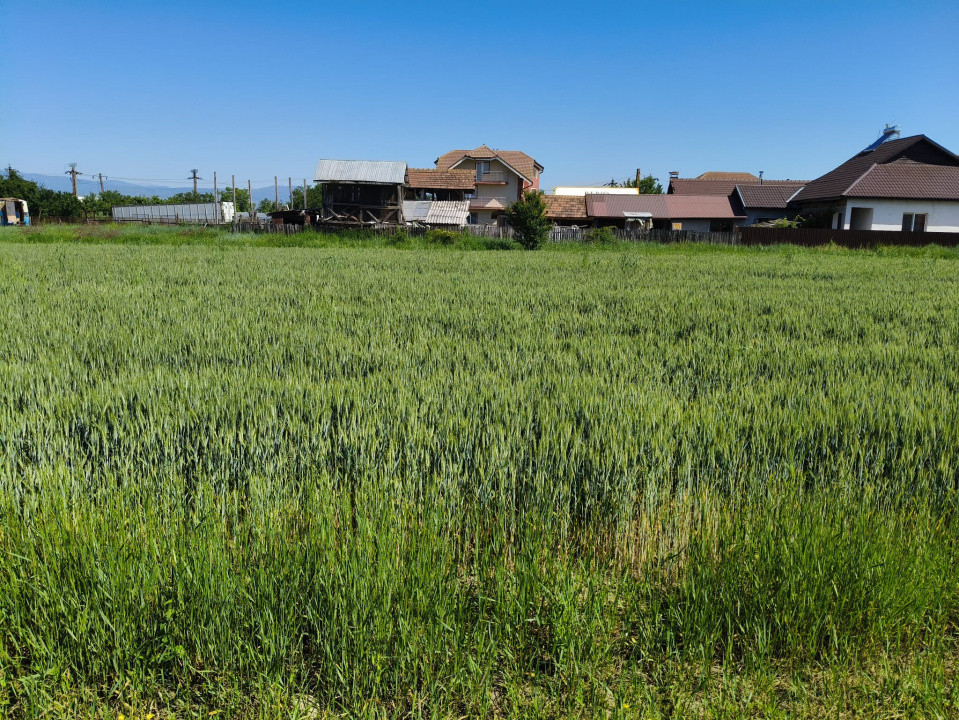 Teren 10.294 mp de vânzare Târgu Jiu | Intravilan + Extravilan | Utilități