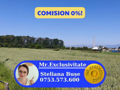 Teren 10.294 mp de vânzare Târgu Jiu | Intravilan + Extravilan | Utilități
