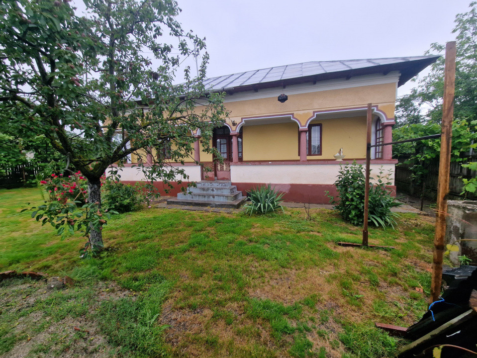 Gospodarie autentic romaneasca-Lunca Corbului, Ciesti!