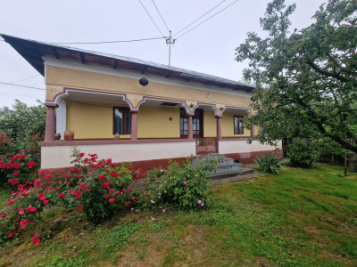 Gospodarie autentic romaneasca-Lunca Corbului, Ciesti!
