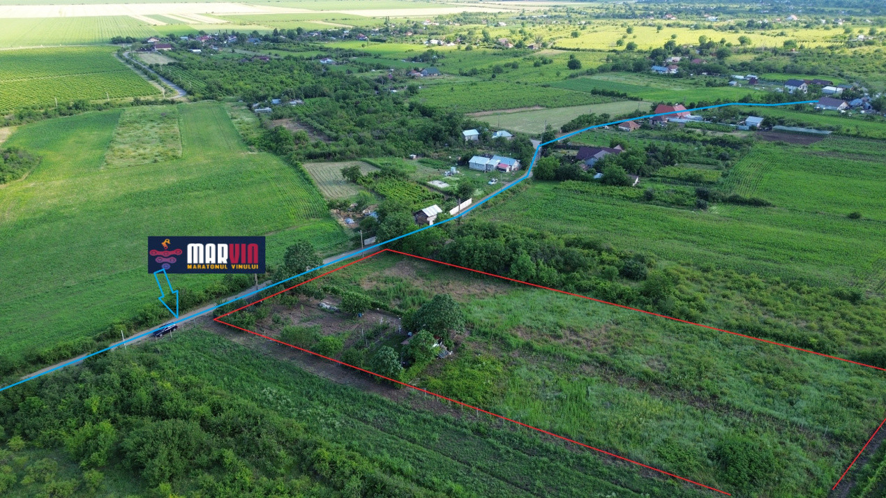  Teren Urlați / Investitie / 5.555 mp pe Traseul MARVIN si Drumul Vinului