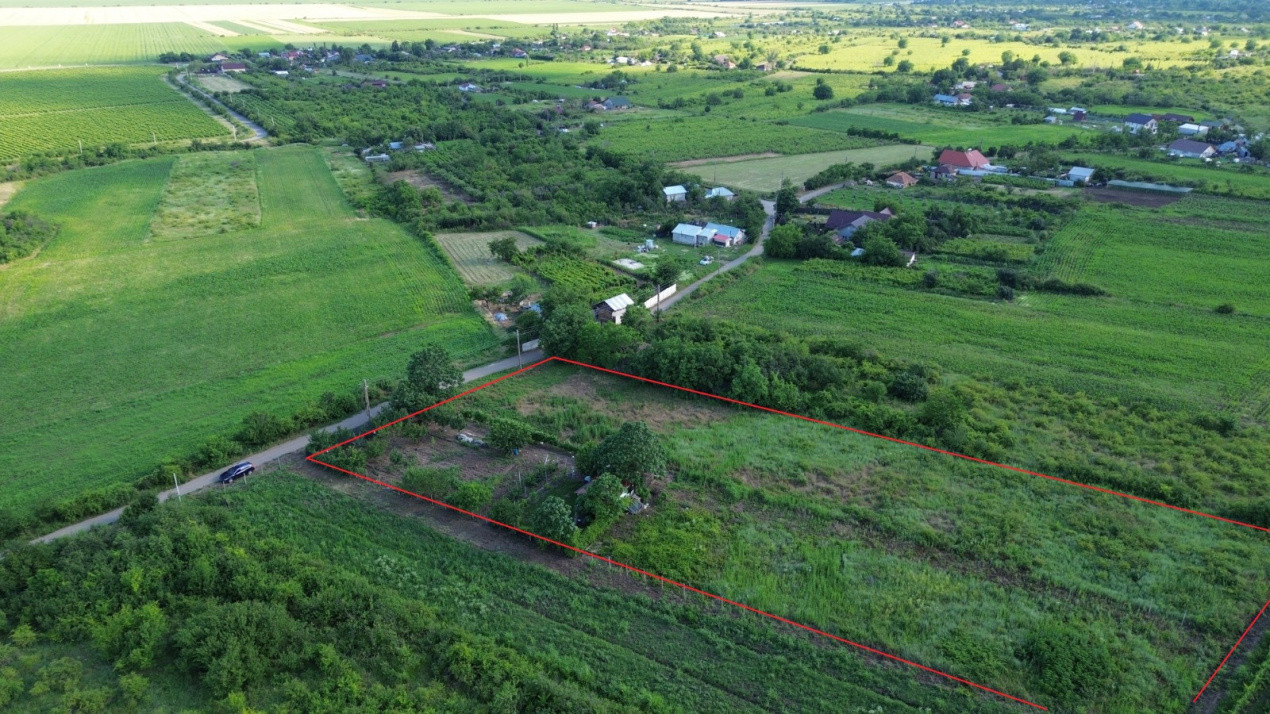  Teren Urlați / Investitie / 5.555 mp pe Traseul MARVIN si Drumul Vinului