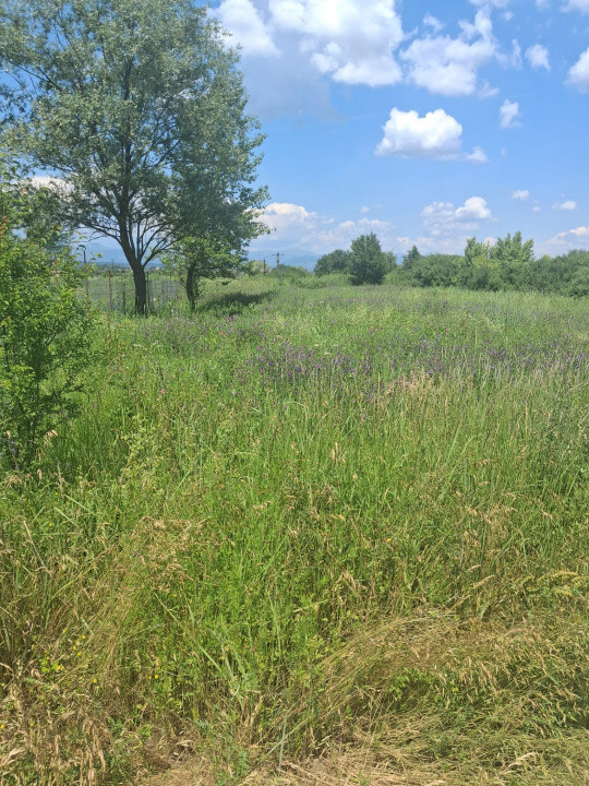 Teren extravilan 2.500 mp | Str. Ana Ipătescu, Târgu Jiu 