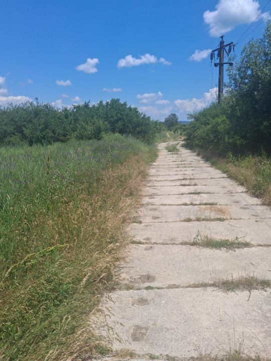 Teren extravilan 2.500 mp | Str. Ana Ipătescu, Târgu Jiu 
