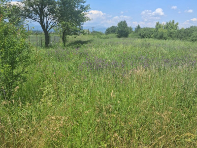 Teren extravilan 2.500 mp | Str. Ana Ipătescu, Târgu Jiu 