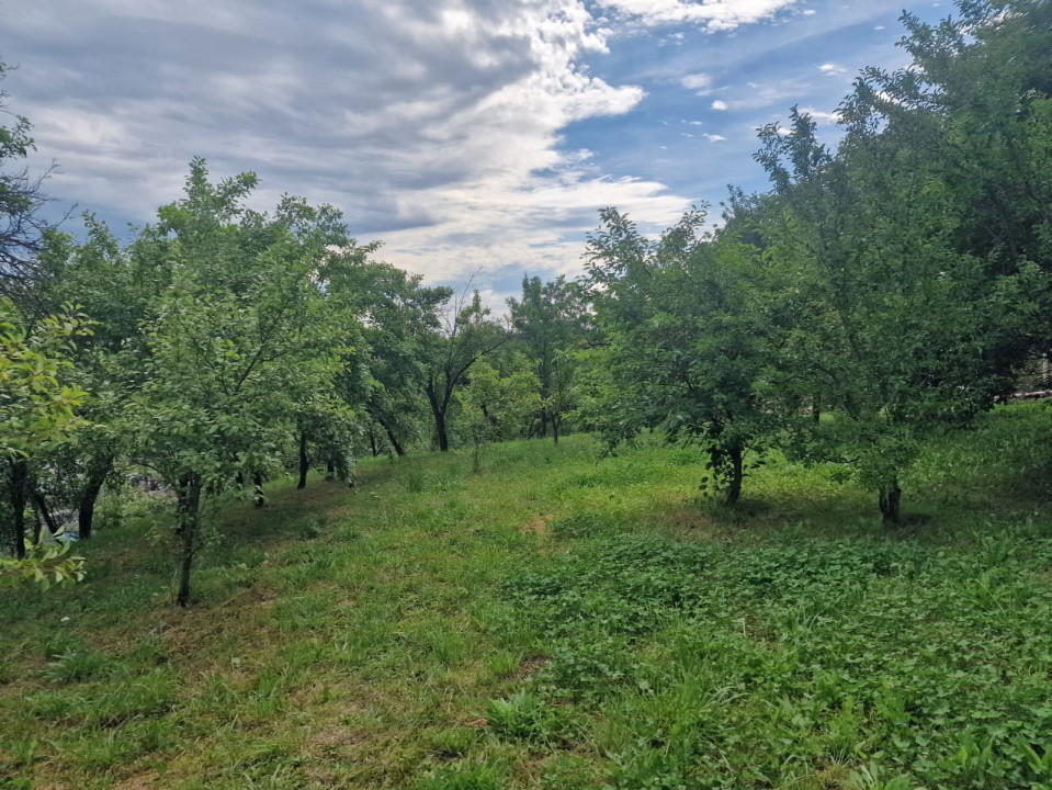 Teren intravilan  1400 mp - Albota !