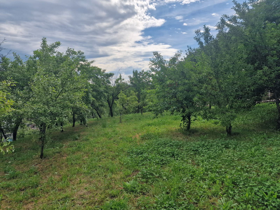 Teren intravilan  1400 mp - Albota !