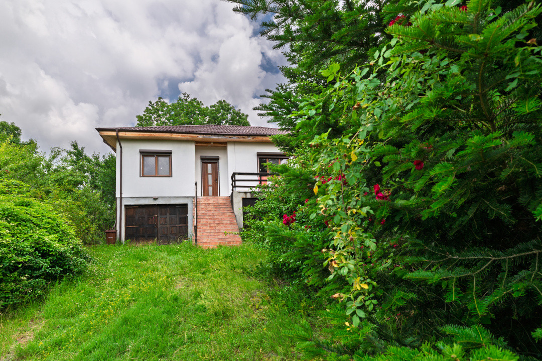 Casa moderna si casa bunicii + 6300 mp teren,Oaza autentica in Corbi Arges-