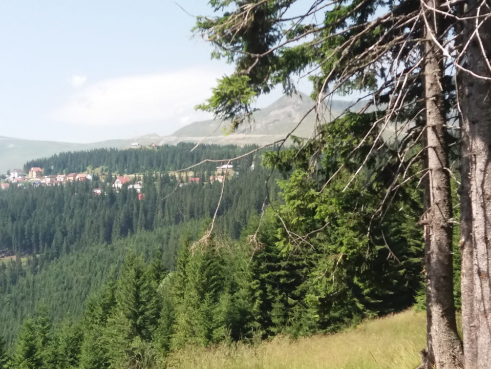 Cabană în Rânca cu 500 mp teren și panoramă impresionantă