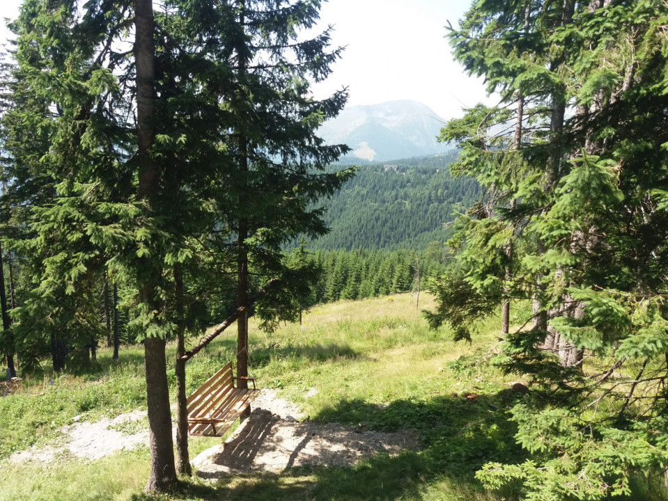 Cabană în Rânca cu 500 mp teren și panoramă impresionantă