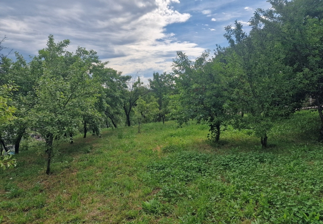 Teren intravilan 1400mp-Albota!