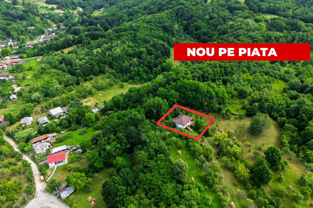  Proprietate de poveste în Corbi, Argeș - Doua case si 6300 mp teren intravilan