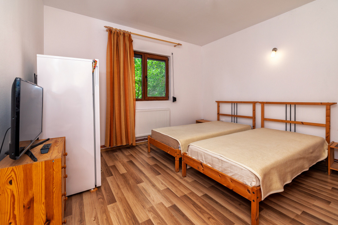  Proprietate de poveste în Corbi, Argeș - Doua case si 6300 mp teren intravilan