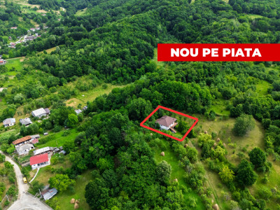  Proprietate de poveste în Corbi, Argeș - Doua case si 6300 mp teren intravilan