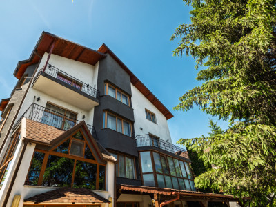 Apartament în vilă - Acces independent - Investiție & business - Nicolae Dobrin