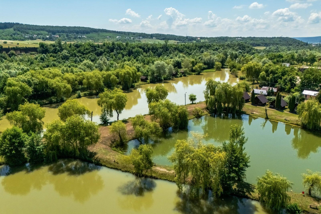 Afacere la cheie - domeniu cu lacuri de pescuit  - Sat Bunești, Com. Malureni
