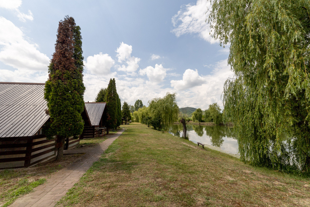 Afacere la cheie - domeniu cu lacuri de pescuit  - Sat Bunești, Com. Malureni