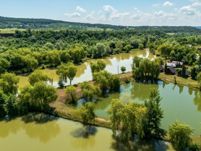 Afacere la cheie - domeniu cu lacuri de pescuit  - Sat Bunești, Com. Malureni