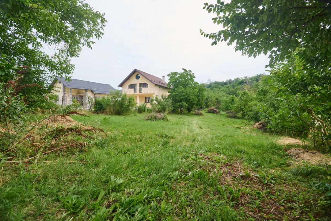 Teren 2240 mp intravilan + casa batraneasca Hintesti-Basangesti