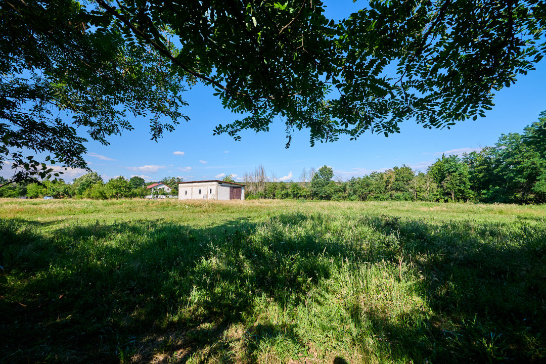 Teren Intravilan 1100 mp + Anexă 120 mp - Budeasa, Calotesti!