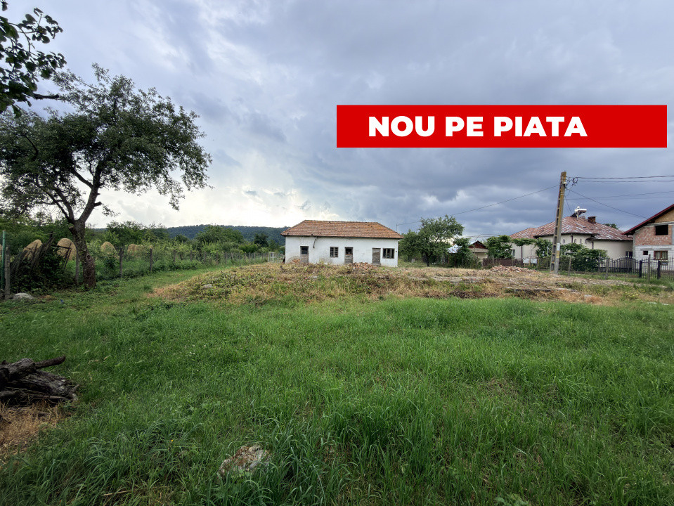 Teren intravilan – 2.109 mp | Albești - Transfagarasan - Curtea de Arges