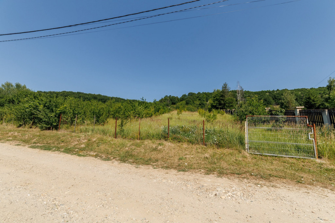 Teren intravilan Ștefănești Valea Mare Podgoria 