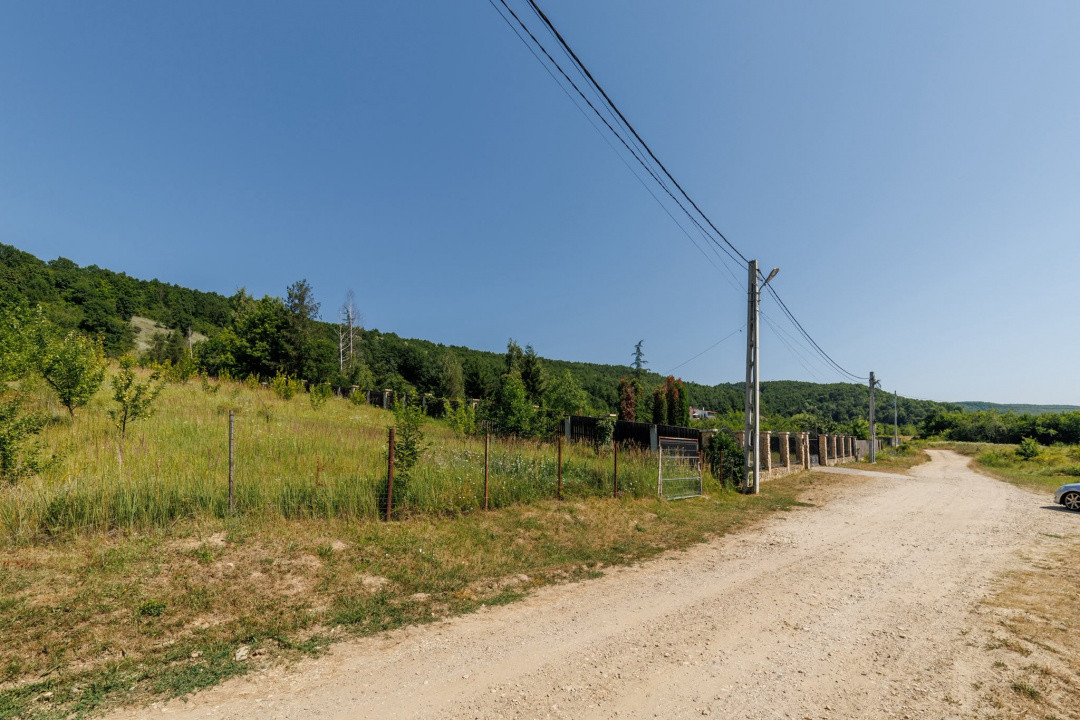 Teren intravilan Ștefănești Valea Mare Podgoria 