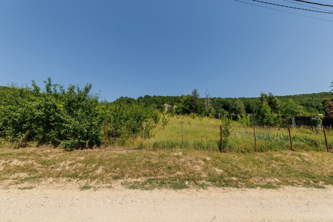Teren intravilan Ștefănești Valea Mare Podgoria 