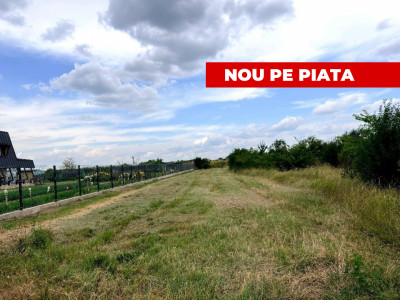 Teren de vanzare in Comuna Bradu – 1.374 mp | Deschidere 13,97 ml | 0% Comision