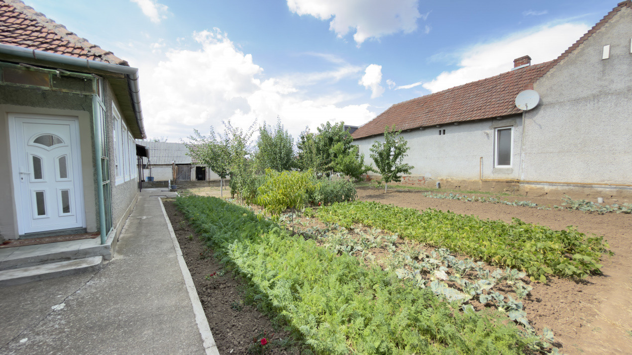 Casă 4 camere, Teren 1005 mp Loc. Căpleni Nr.789 -Jud. Satu Mare