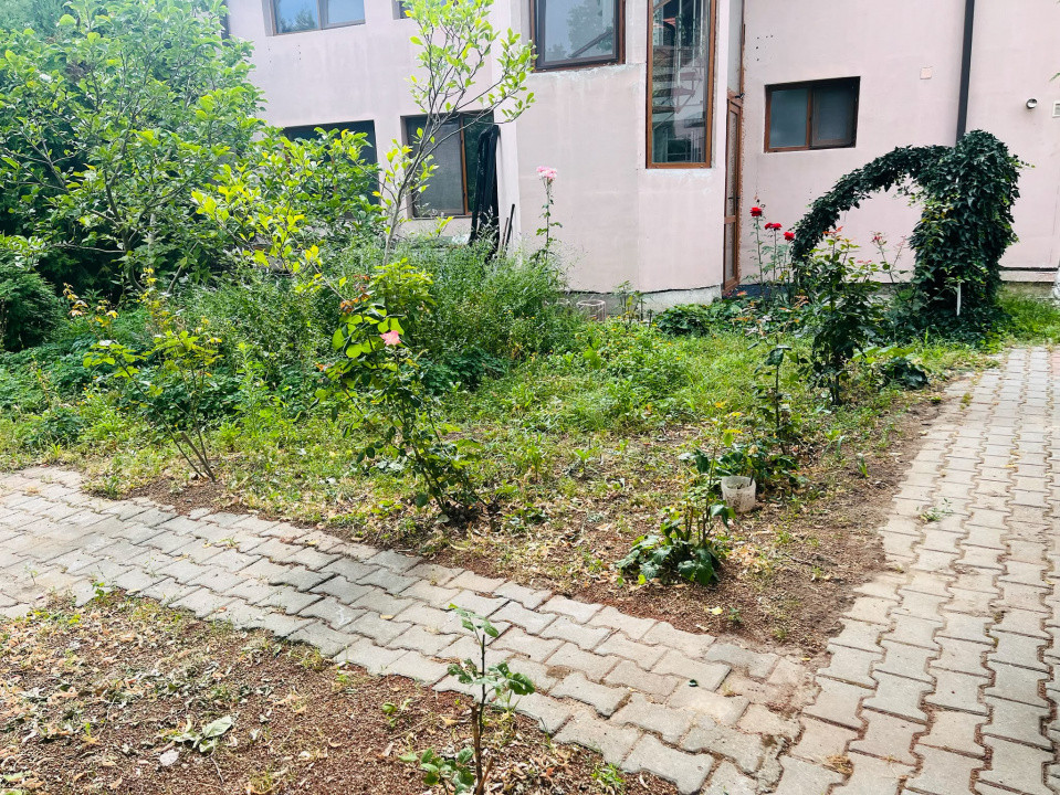Oaza de liniste si verdeata, aproape de Km 0 - Brestei, zona Obedeanu