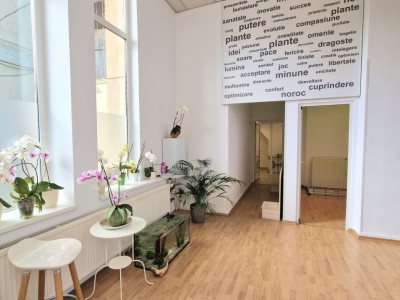 De inchiriat spatiu comercial central