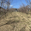 Casa Ciocanai la 4 km de Pitesti  thumb 7